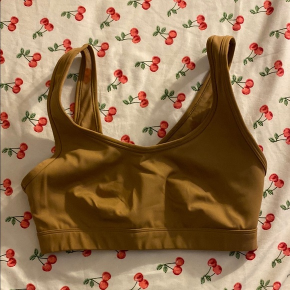 Aerie cross back mesh line sports bra - Picture 1 of 3